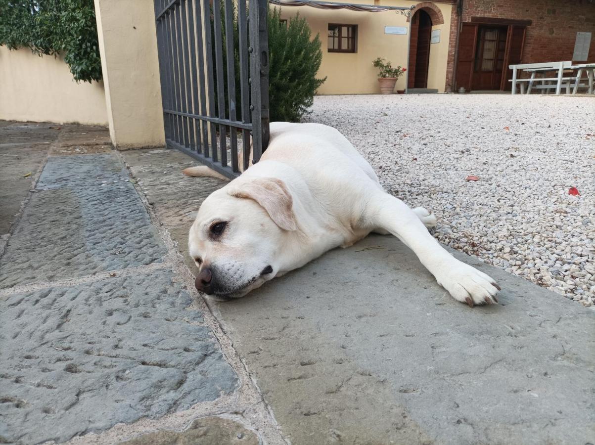 Podere Il Belvedere Su Cortona Castiglion Fiorentino Exterior foto